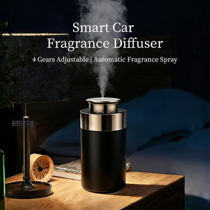 Diffuser Elemi car
